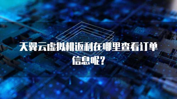 天翼云虚拟机返利在哪里查看订单信息呢？