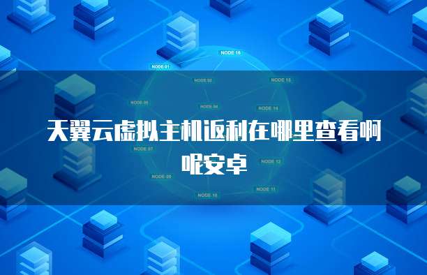 天翼云虚拟主机返利在哪里查看啊呢安卓