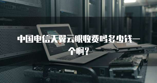 中国电信天翼云眼收费吗多少钱一个啊?