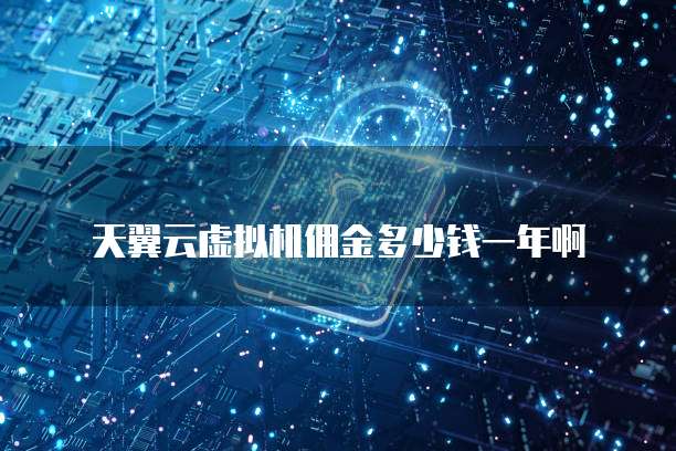 天翼云虚拟机佣金多少钱一年啊