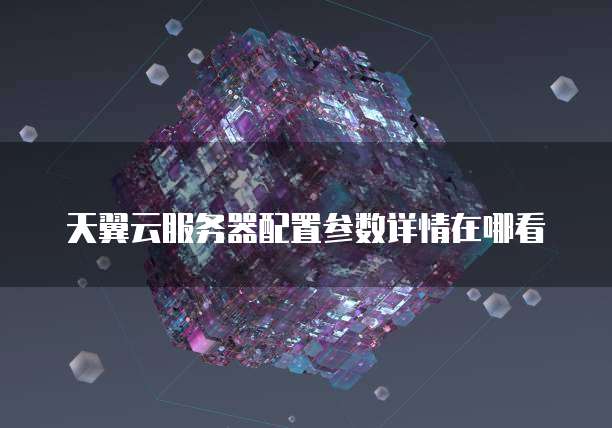 天翼云服务器配置参数详情在哪看