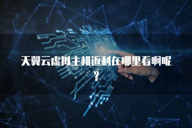天翼云虚拟主机返利在哪里看啊呢?