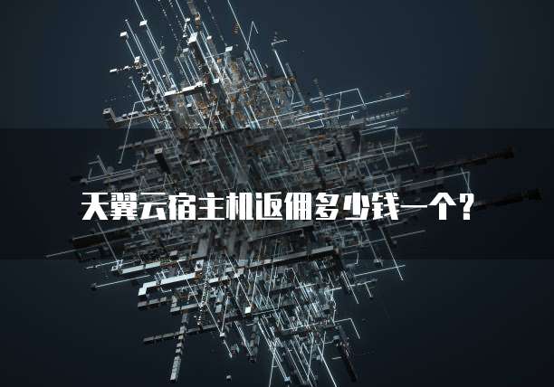 天翼云宿主机返佣多少钱一个?