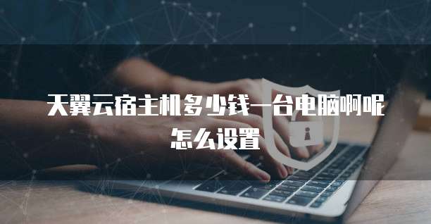 天翼云宿主机多少钱一台电脑啊呢怎么设置