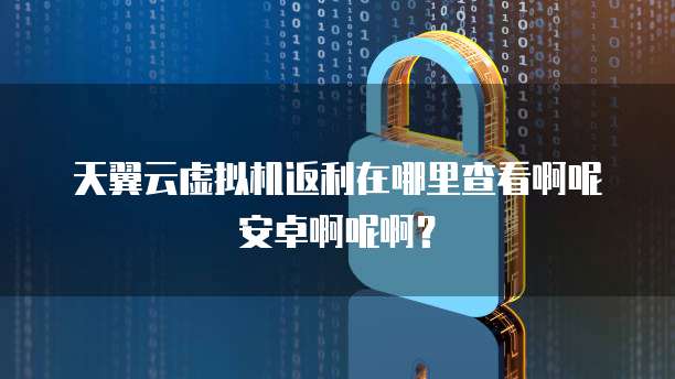 天翼云虚拟机返利在哪里查看啊呢安卓啊呢啊?