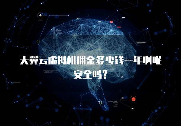 天翼云虚拟机佣金多少钱一年啊呢安全吗?