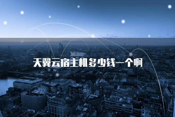 天翼云宿主机多少钱一个啊