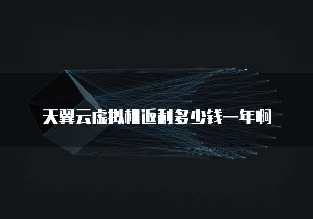 天翼云虚拟机返利多少钱一年啊
