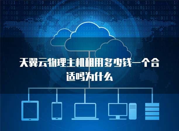 天翼云物理主机租用多少钱一个合适吗为什么