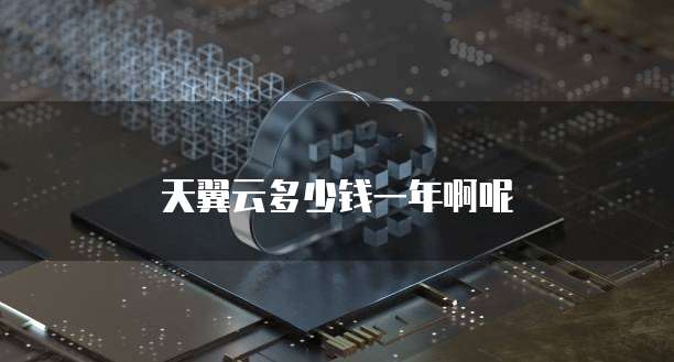 天翼云多少钱一年啊呢
