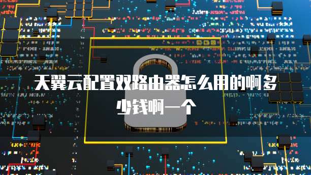 天翼云配置双路由器怎么用的啊多少钱啊一个