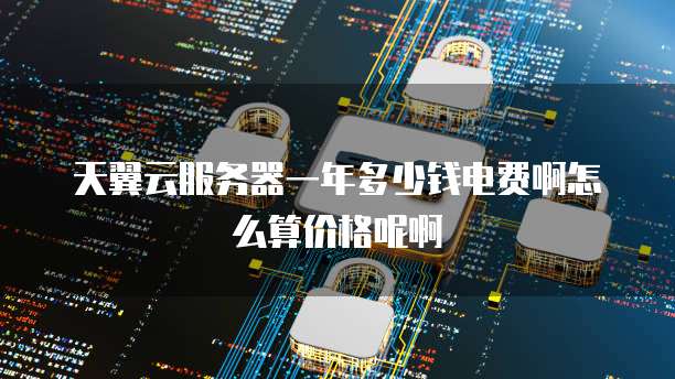 天翼云服务器一年多少钱电费啊怎么算价格呢啊