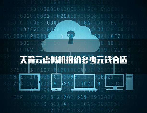 天翼云虚拟机报价多少元钱合适