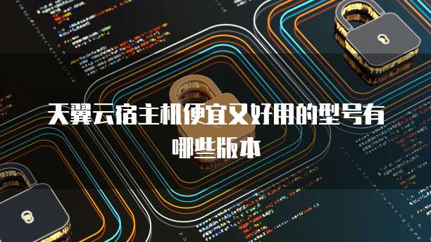 天翼云宿主机便宜又好用的型号有哪些版本