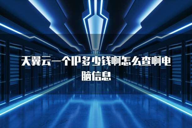 天翼云一个IP多少钱啊怎么查啊电脑信息