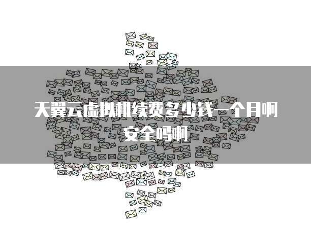 天翼云虚拟机续费多少钱一个月啊安全吗啊