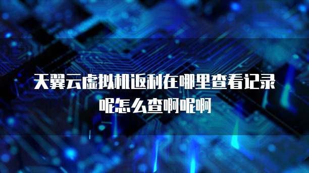 天翼云虚拟机返利在哪里查看记录呢怎么查啊呢啊