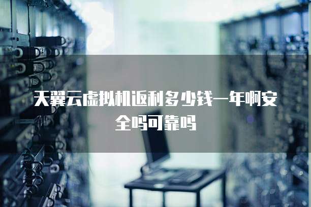 天翼云虚拟机返利多少钱一年啊安全吗可靠吗