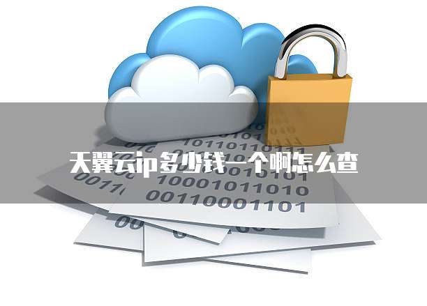 天翼云ip多少钱一个啊怎么查