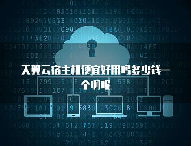 天翼云宿主机便宜好用吗多少钱一个啊呢