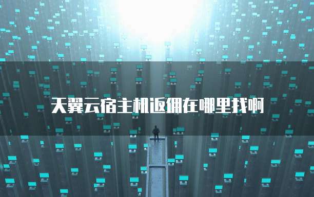 天翼云宿主机返佣在哪里找啊