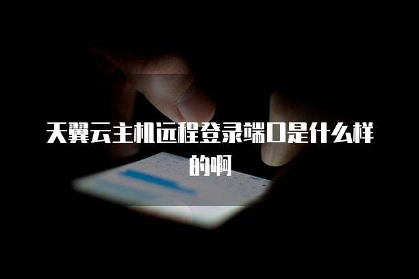 天翼云主机远程登录端口是什么样的啊