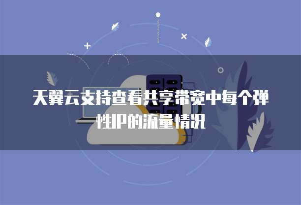 天翼云支持查看共享带宽中每个弹性IP的流量情况