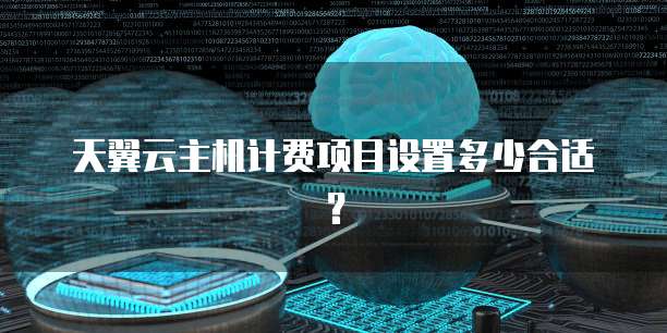 天翼云主机计费项目设置多少合适?