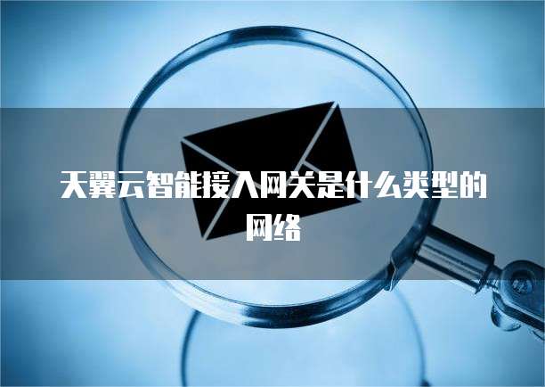 天翼云智能接入网关是什么类型的网络