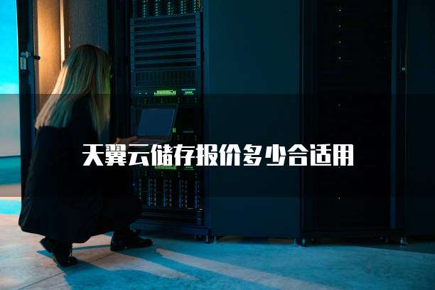 天翼云储存报价多少合适用