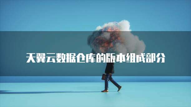 天翼云数据仓库的版本组成部分