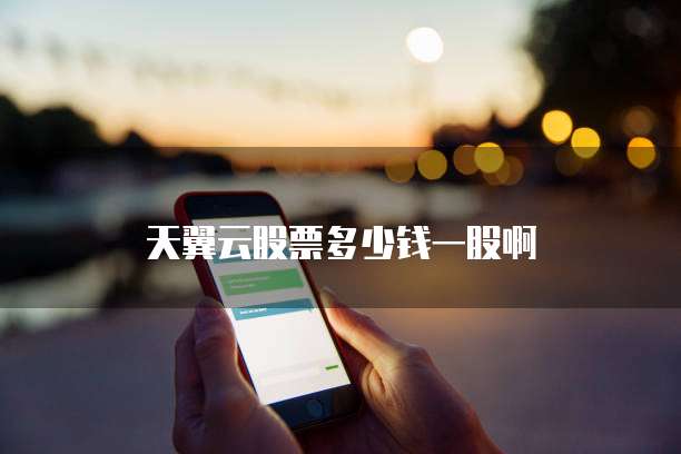 天翼云股票多少钱一股啊