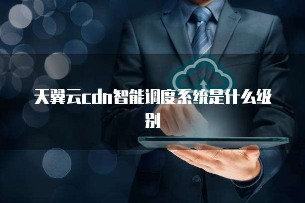 天翼云cdn智能调度系统是什么级别