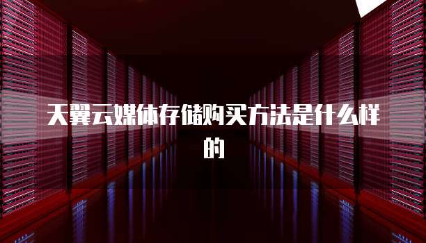 天翼云媒体存储购买方法是什么样的
