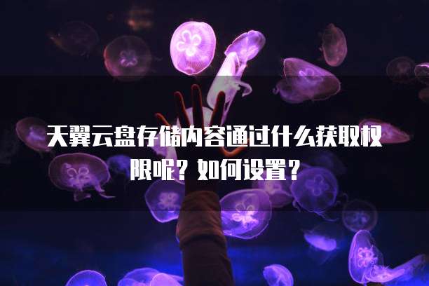 天翼云盘存储内容通过什么获取权限呢？如何设置？