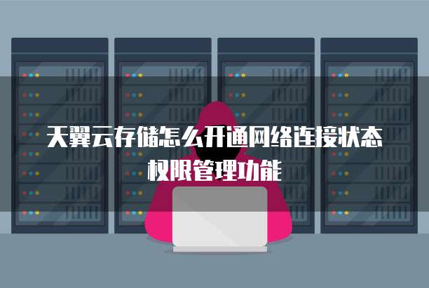 天翼云存储怎么开通网络连接状态权限管理功能