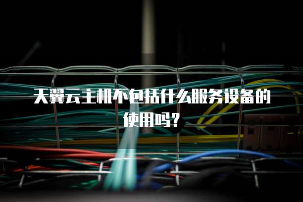 天翼云主机不包括什么服务设备的使用吗?