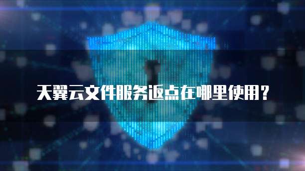 天翼云文件服务返点在哪里使用?