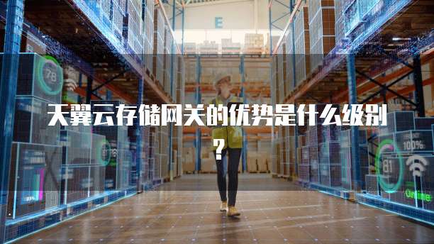 天翼云存储网关的优势是什么级别?