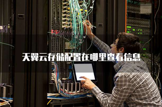 天翼云存储配置在哪里查看信息