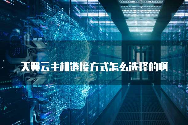 天翼云主机链接方式怎么选择的啊