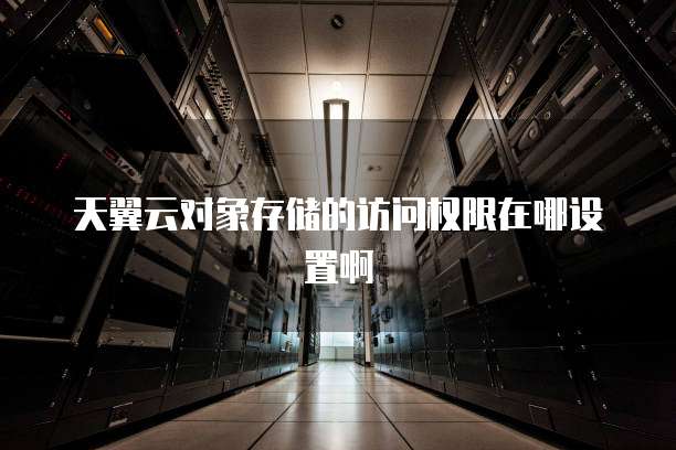 天翼云对象存储的访问权限在哪设置啊