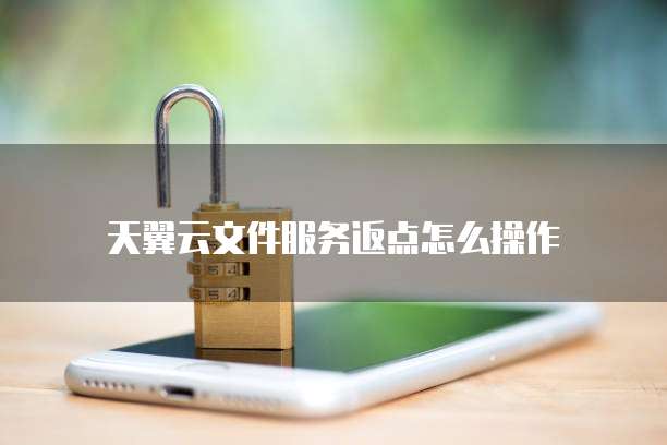 天翼云文件服务返点怎么操作