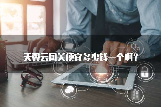 天翼云网关便宜多少钱一个啊?
