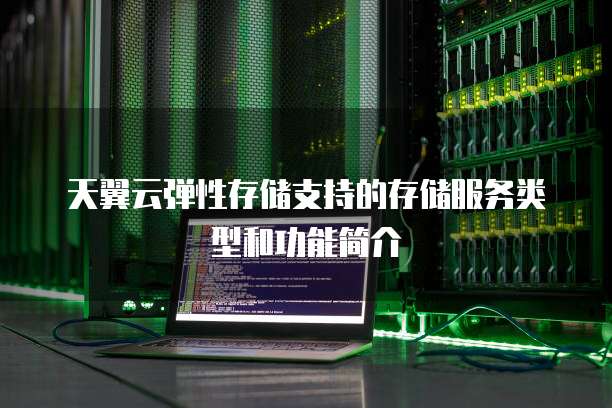 天翼云弹性存储支持的存储服务类型和功能简介