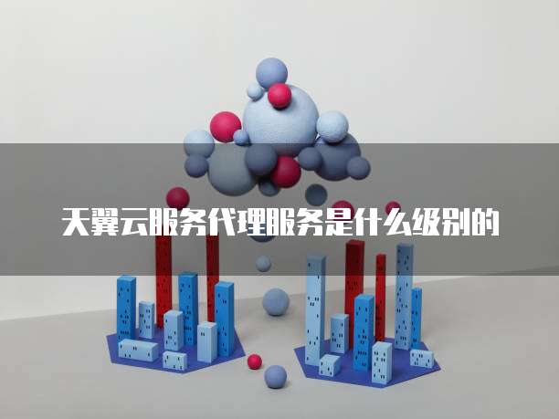 天翼云服务代理服务是什么级别的