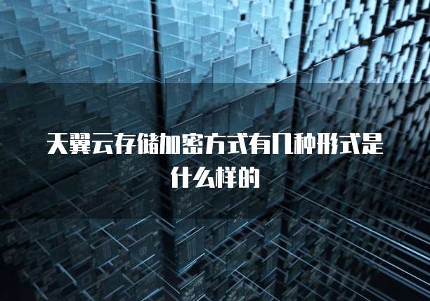 天翼云存储加密方式有几种形式是什么样的