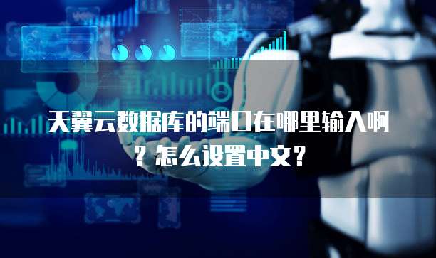 天翼云数据库的端口在哪里输入啊?怎么设置中文?