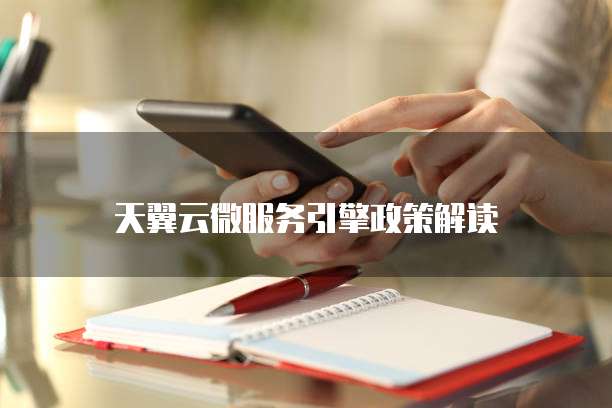 天翼云微服务引擎政策解读