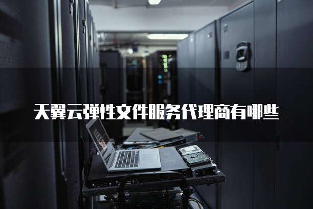 天翼云弹性文件服务代理商有哪些